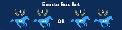 What Is An Exacta Bet & How To Calculate Your Payout .